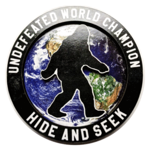 hide and seek magnet